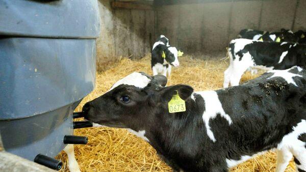 Kieran Coughlan: The ins and outs of what you can reclaim Vat for on the farm